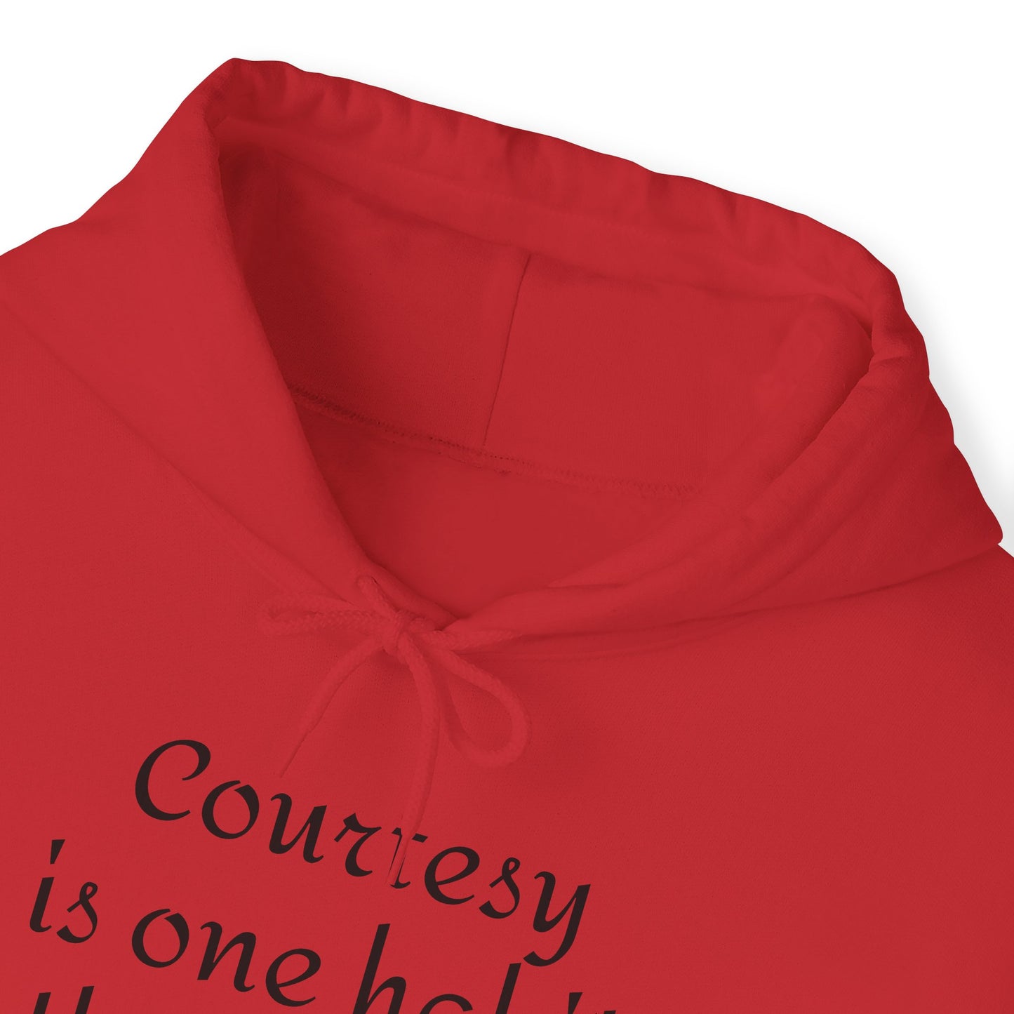 Courtesy Unisex Heavy Blend™ Hooded Sweatshirt