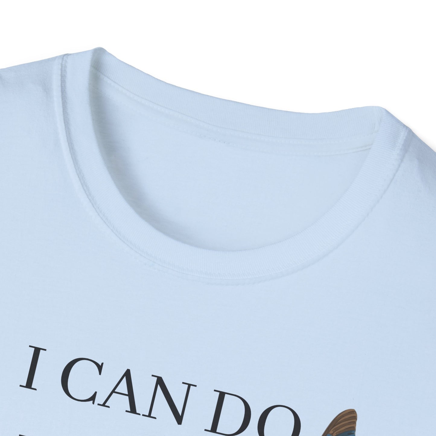 I Can Do All Things Through Christ Softstyle T-Shirt