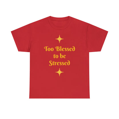 Front: Too Blessed to be Stressed - Back: Follow me while I follow Jesus T-shirt