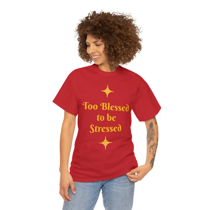 Front: Too Blessed to be Stressed - Back: Follow me while I follow Jesus T-shirt