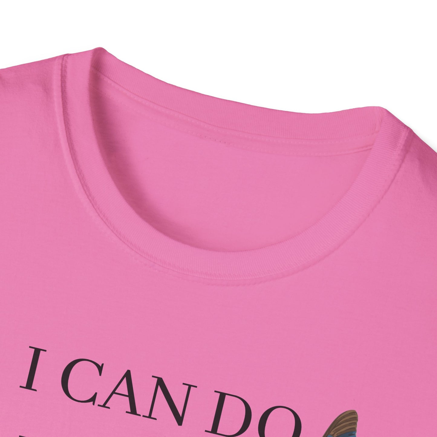 I Can Do All Things Through Christ Softstyle T-Shirt