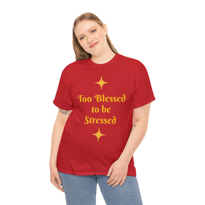 Front: Too Blessed to be Stressed - Back: Follow me while I follow Jesus T-shirt