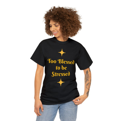 Front: Too Blessed to be Stressed - Back: Follow me while I follow Jesus T-shirt