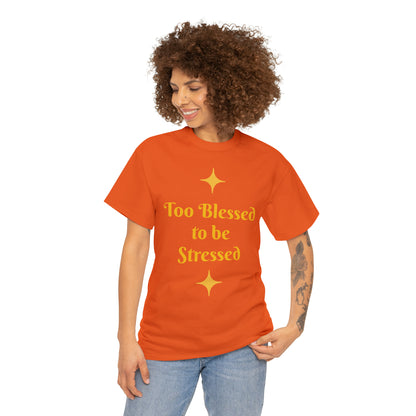 Front: Too Blessed to be Stressed - Back: Follow me while I follow Jesus T-shirt