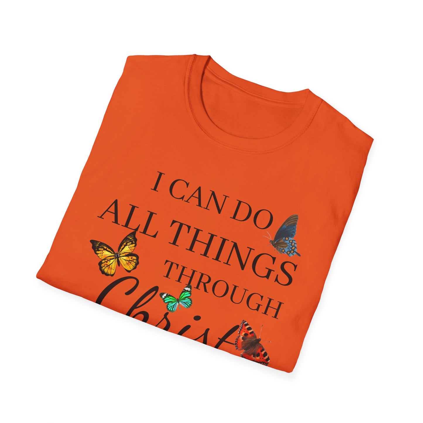 I Can Do All Things Through Christ Softstyle T-Shirt