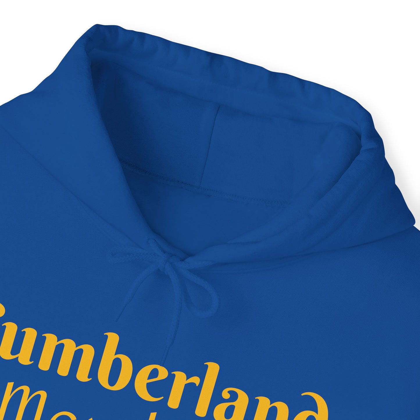 Cumberland Marching Band Unisex Heavy Blend™ Hooded Sweatshirt