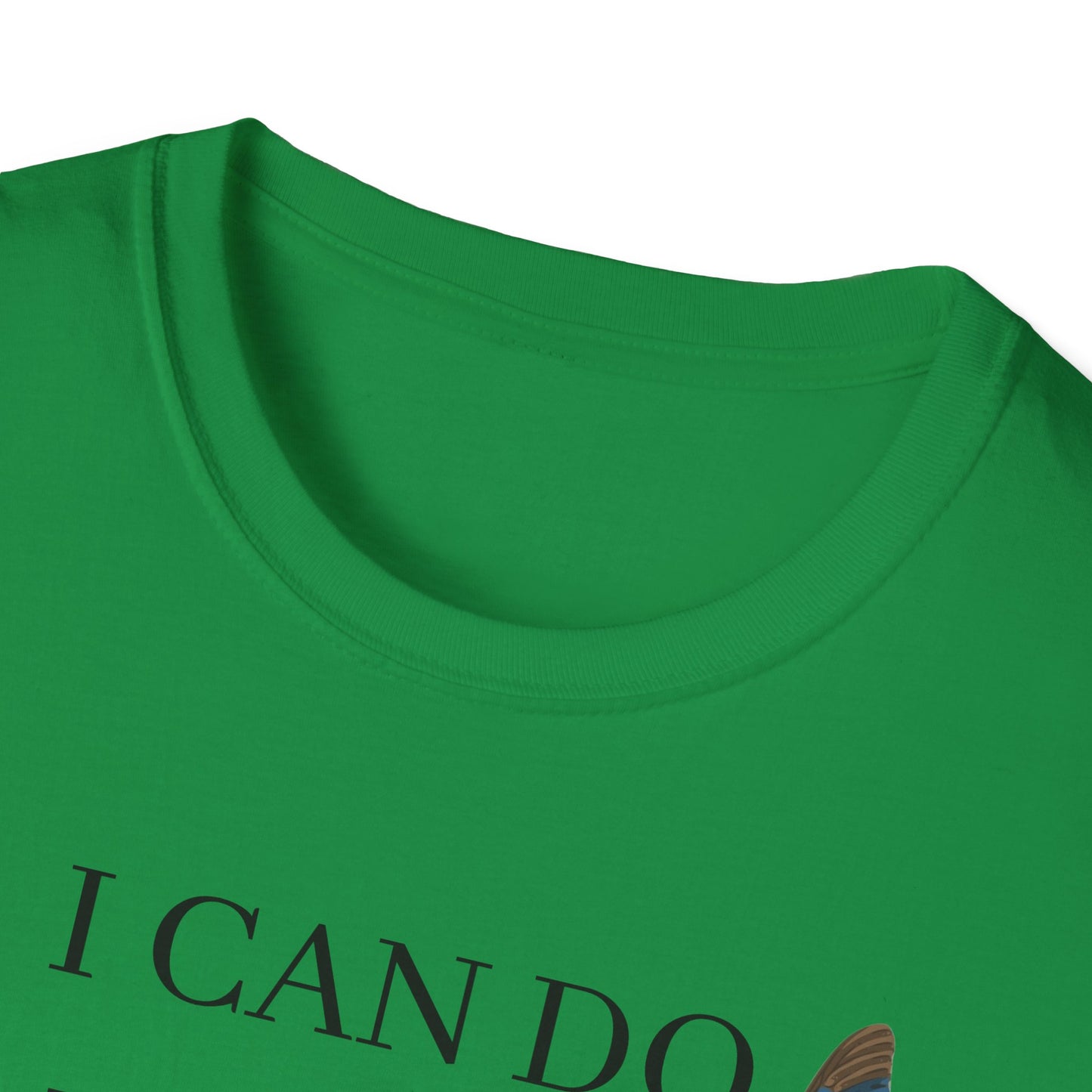 I Can Do All Things Through Christ Softstyle T-Shirt