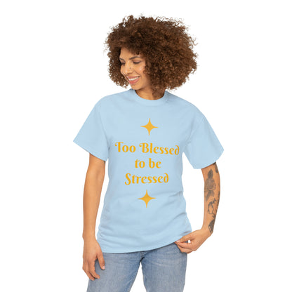 Front: Too Blessed to be Stressed - Back: Follow me while I follow Jesus T-shirt