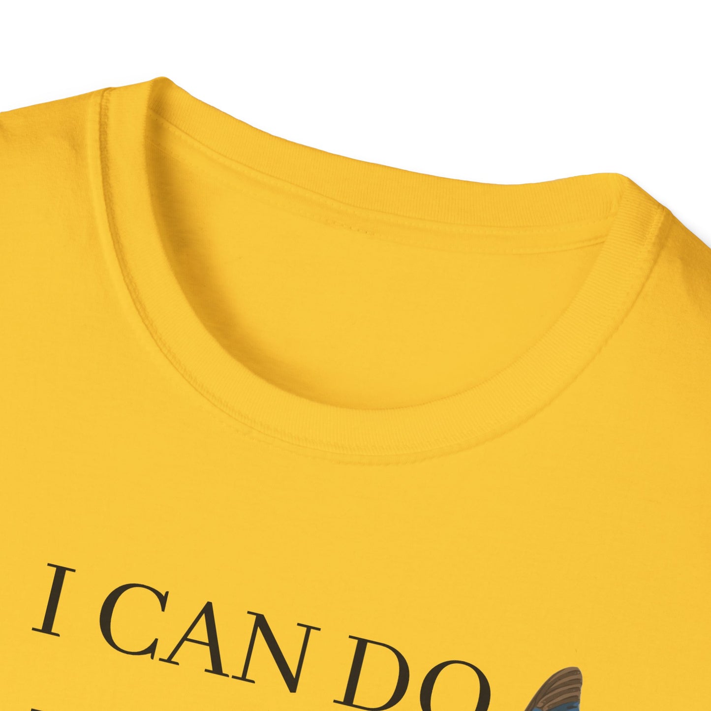 I Can Do All Things Through Christ Softstyle T-Shirt