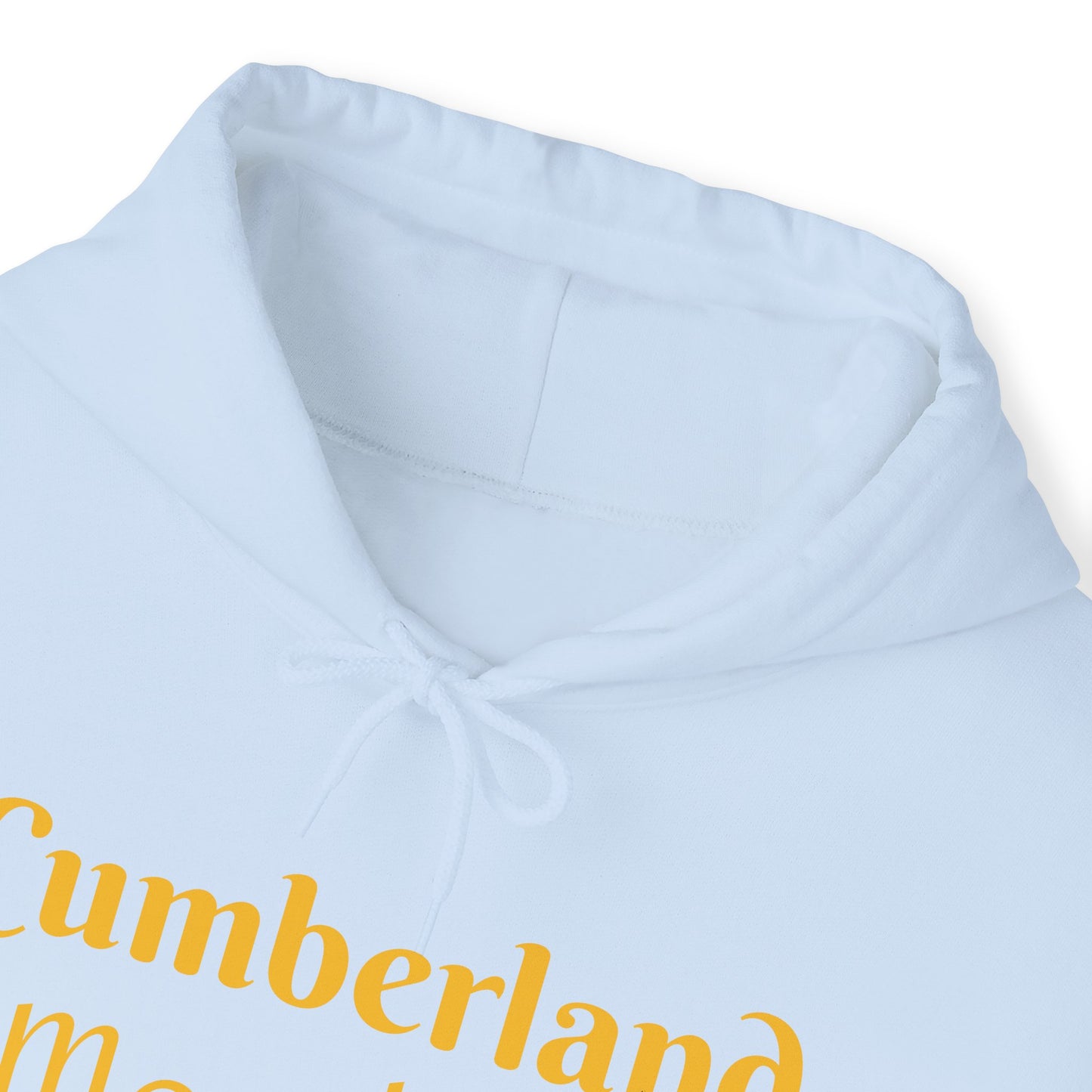 Cumberland Marching Band Auntie Heavy Blend™ Hooded Sweatshirt